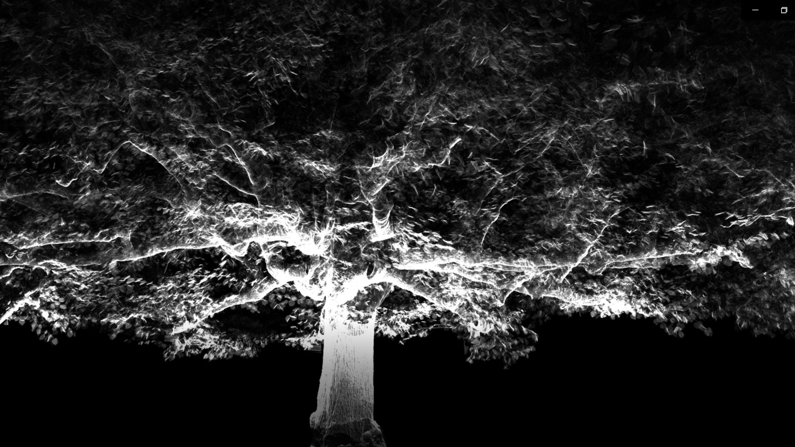 laserscanning-boom-tree-survey-inspectie-onderhoud-leap3d