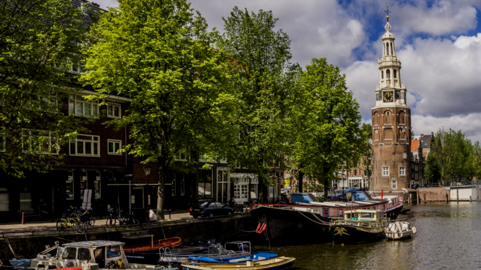 laserscanning-bomen-natuur-waalseilandsgracht-amsterdam-leap3d-pointcloud-damwanden