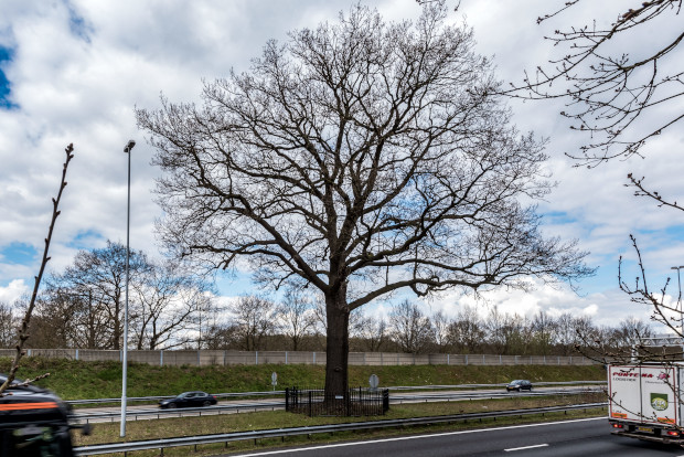 Hero branches agro leap3d 03.JPG